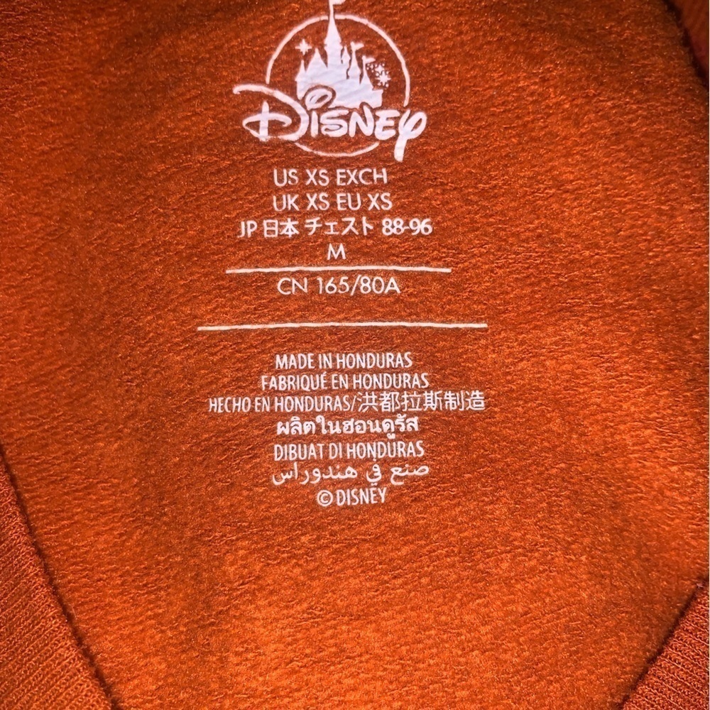 Disneyland Resort Sweatshirt - Picture 6 of 8